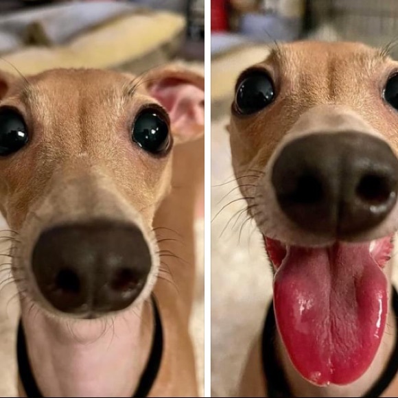 🎖Ambassador🎖 - Picture 15 of 15